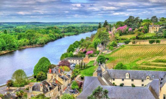 View of Chinon from the castle - France, the Vienne Valley.jpg
