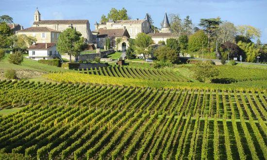 Vineyards of Saint Emilion, Bordeaux.jpg